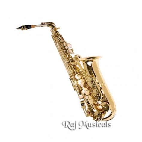 raj sax com|saxophone guitar price in india.